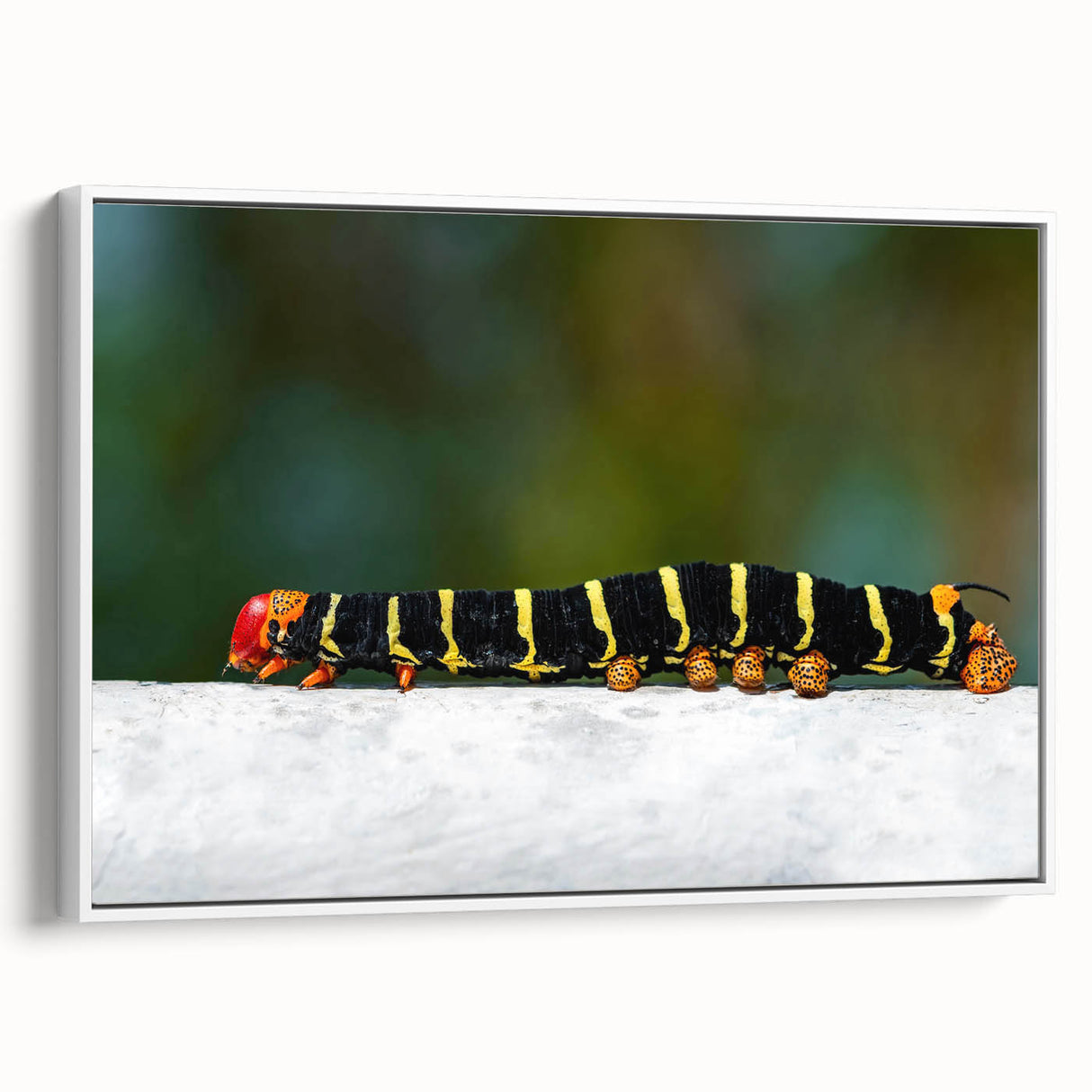 Landscape art painting of a Caribbean beach scene in colorful tones on a framed canvas, suitable for a living room.