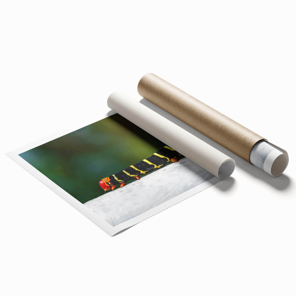 Extra large rolled print of a Caribbean Martinique scenery with vivid floral elements, suitable for classy bathroom wall art.