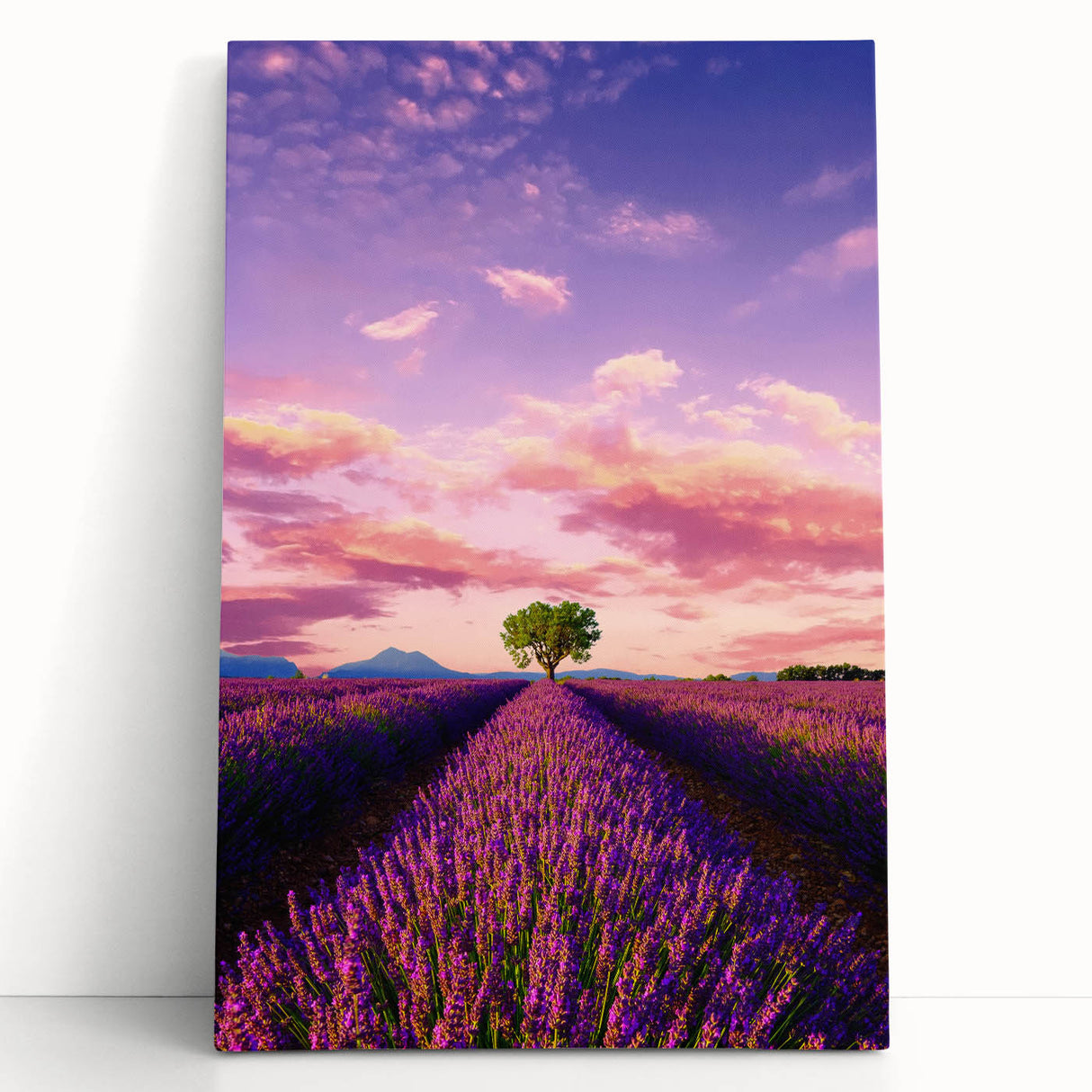 Black and white photograph of Provence scenery on large stretched canvas, ideal for kitchen wall art.