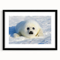 Extra large, colorful abstract art print of a Greenland scenery in a black frame with mat, ideal for living room decor.