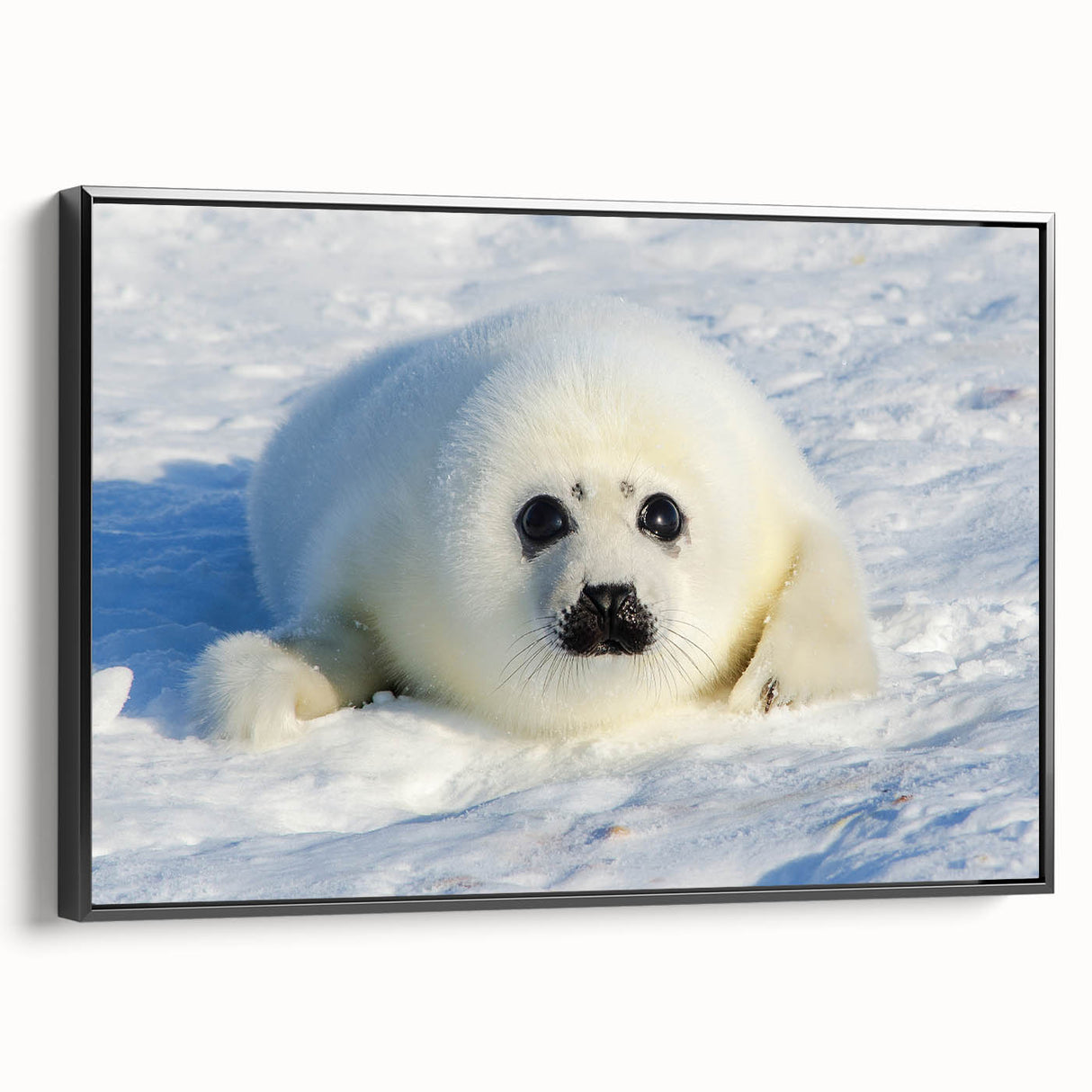 Black and white wall art of a Greenland landscape on framed canvas, ideal for bedroom decor.