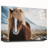 Large abstract wall art of Icelandic scenery in muted blue and gray tones on acrylic glass.
