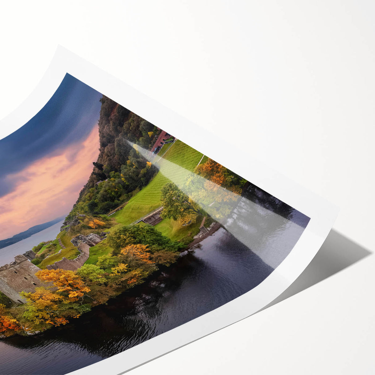 Extra large wall art featuring line art flowers in a scenic Scottish landscape on a rolled print.