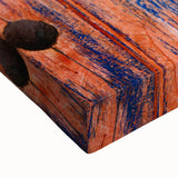 Black and white stretched canvas of Baja California scenery, ideal for kitchen wall art or bedroom ambiance.