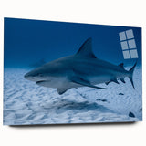 Large abstract wall art of Quintana Roo scenery in vibrant blues and greens on acrylic glass.
