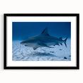 Colorful abstract art print of Quintana Roo scenery on a textured, extra-large canvas, framed in black.