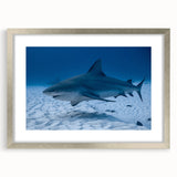 Textured abstract art print of Quintana Roo scenery in muted earth tones, framed in silver, ideal for bedroom art.