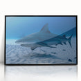Large abstract wall art depicting a scenic view of Quintana Roo, Mexico.