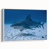Vintage poster art of Quintana Roo scenery on framed canvas, featuring colorful imagery against a black background.