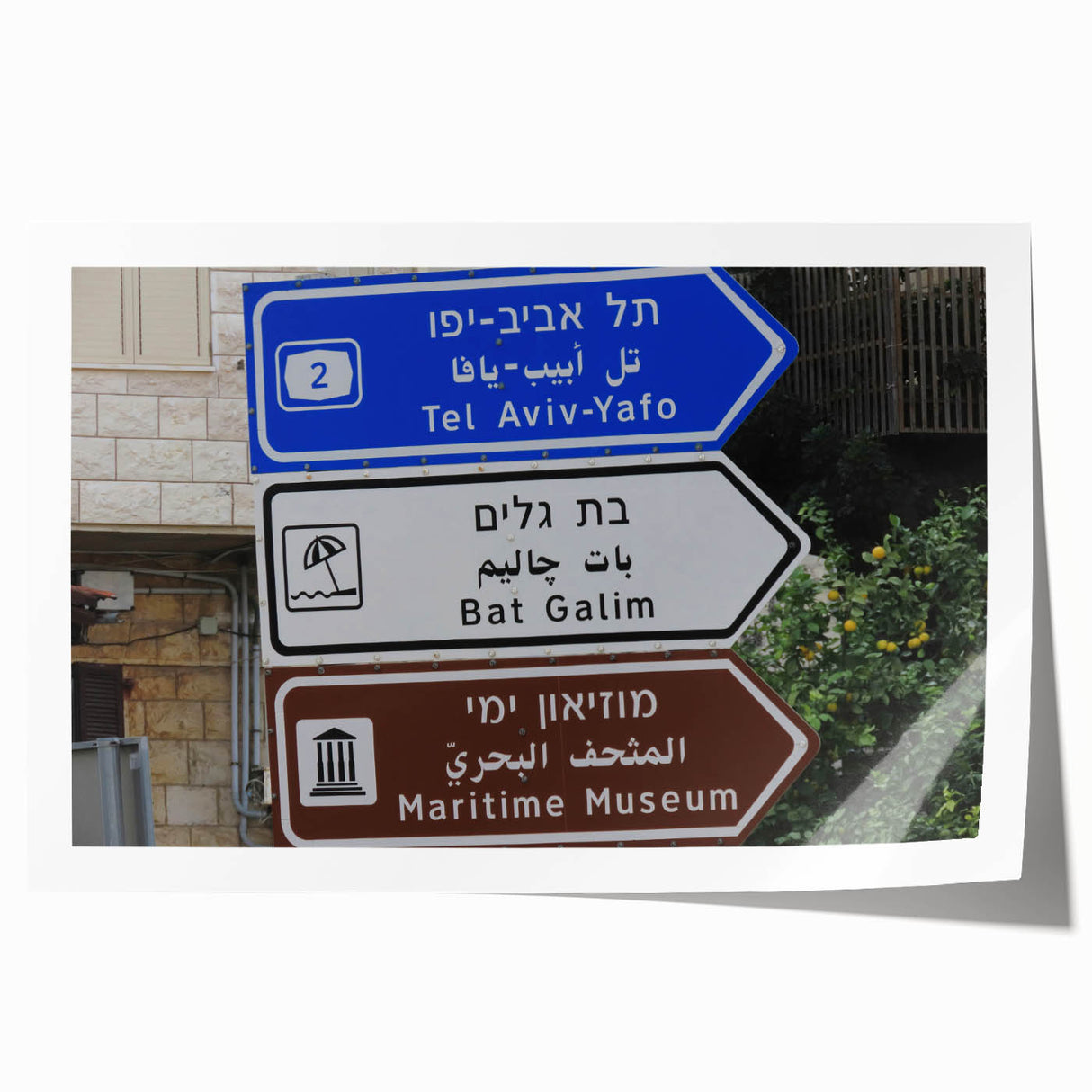 Rolled print of Tel Aviv cityscape in muted earthy tones, suitable as art wall for dining room or large bathroom.