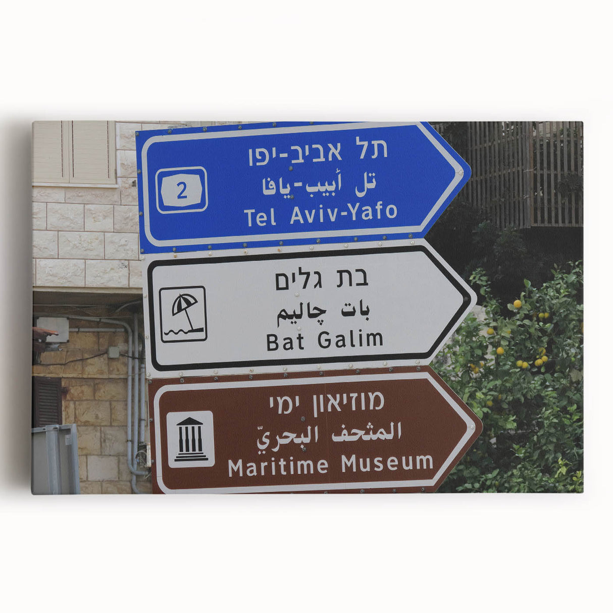 Black and white stretched canvas of Tel Aviv cityscape, ideal for kitchen wall art.