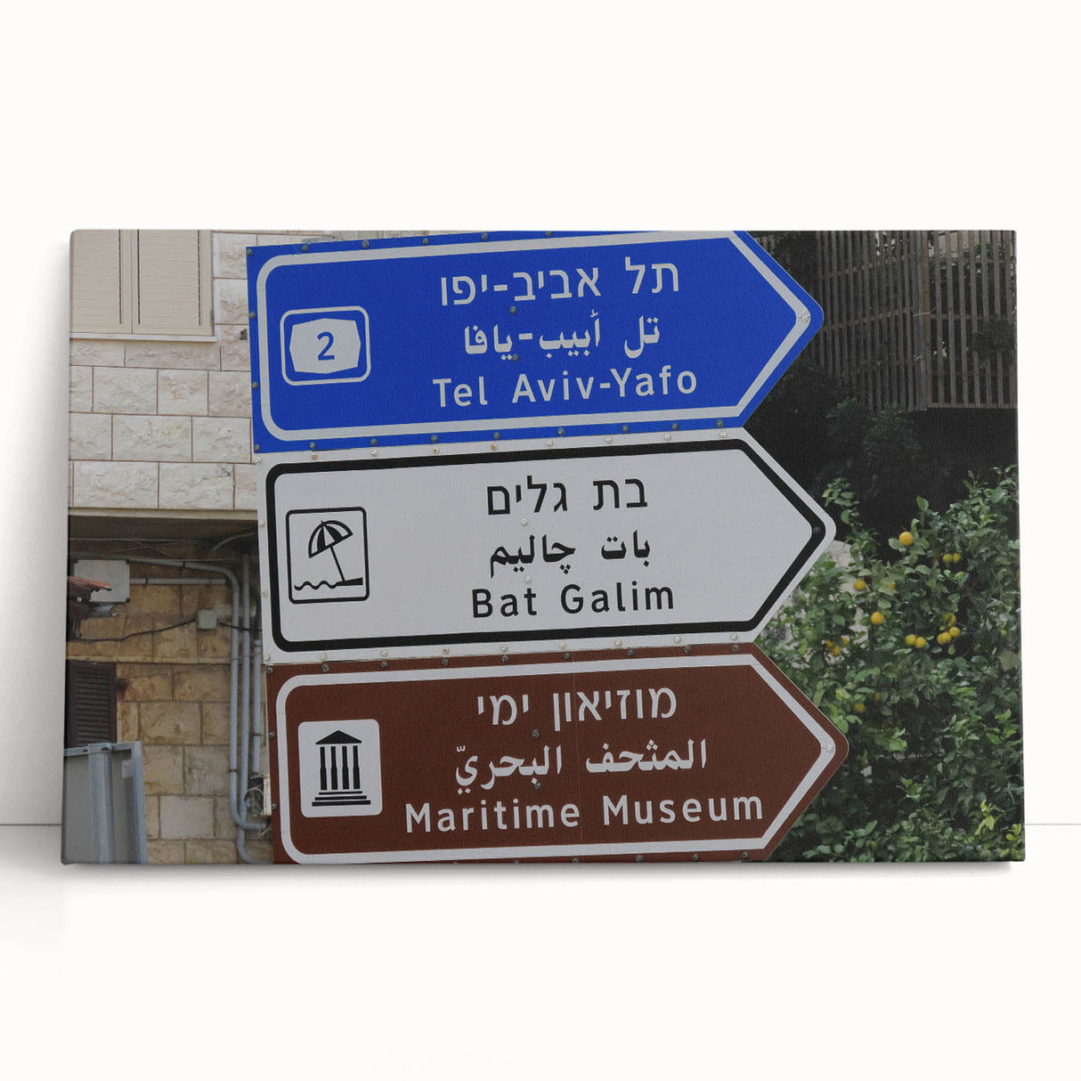 Black and white stretched canvas of Tel Aviv skyline, ideal for kitchen wall art or bedroom ambiance.