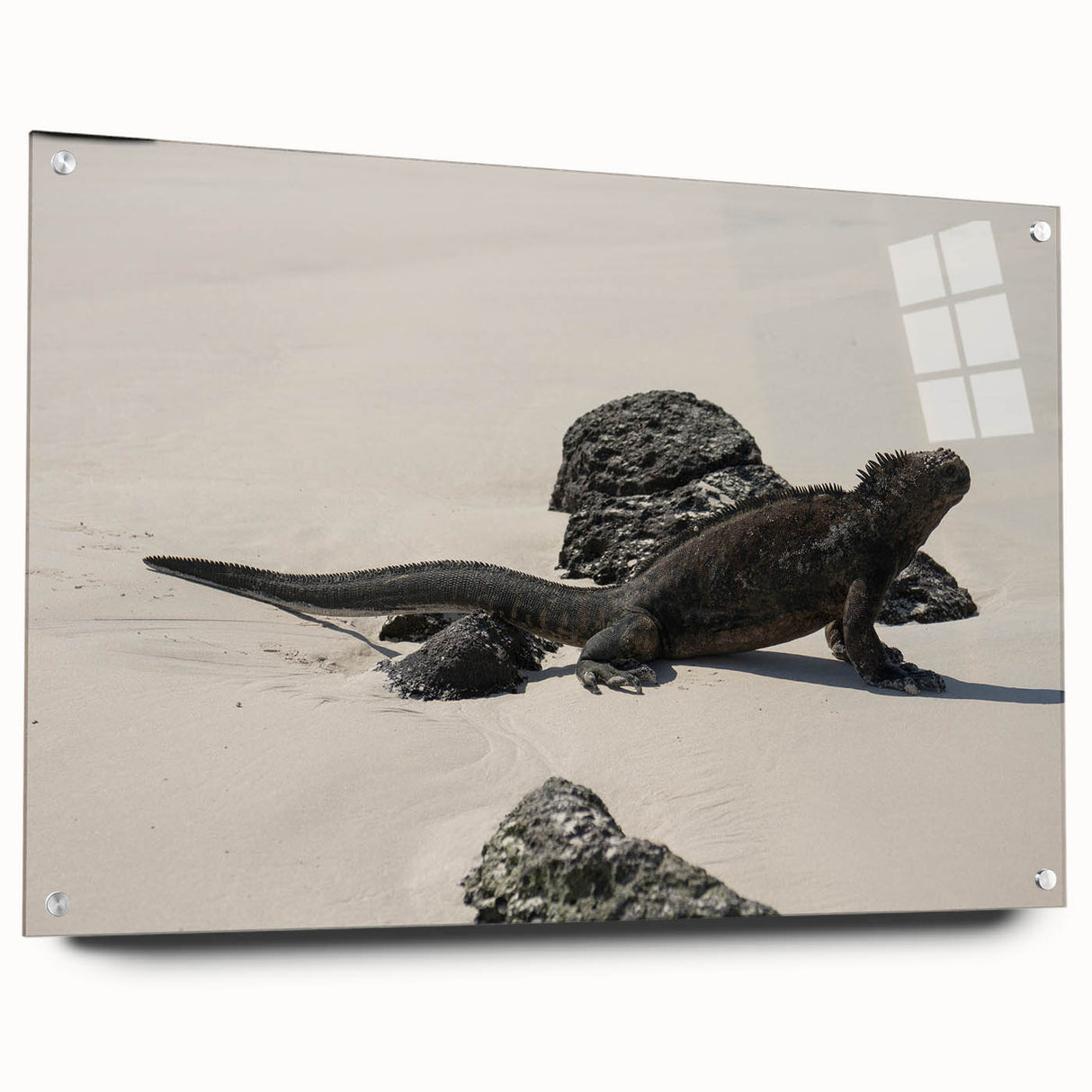 Acrylic print of a Galapagos scenery with vivid blue and green tones, suitable for bedroom or dining room decor.