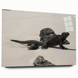 Acrylic print of a Galapagos scenery with vivid blue and green tones, suitable for bedroom or dining room decor.