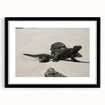Colorful abstract art print of Galapagos scenery on a large canvas, framed in black, ideal for living room decor.