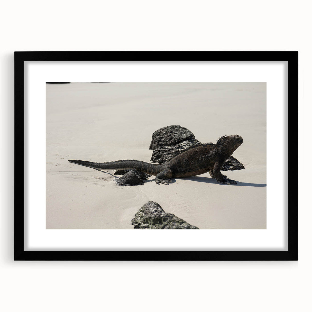 Colorful abstract art print of Galapagos scenery on a large canvas, framed in black, ideal for living room decor.