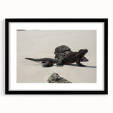 Colorful abstract art print of Galapagos scenery on a large canvas, framed in black, ideal for living room decor.