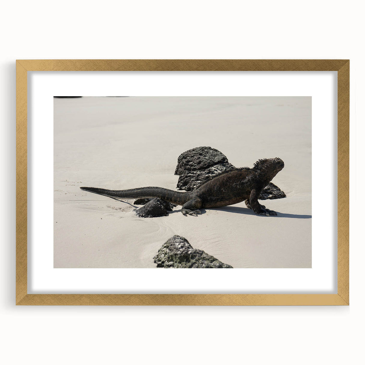 Extra large abstract art print of Galapagos scenery, in gold frame with mat, featuring textured design and muted earth tones.