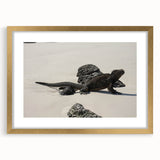 Extra large abstract art print of Galapagos scenery, in gold frame with mat, featuring textured design and muted earth tones.