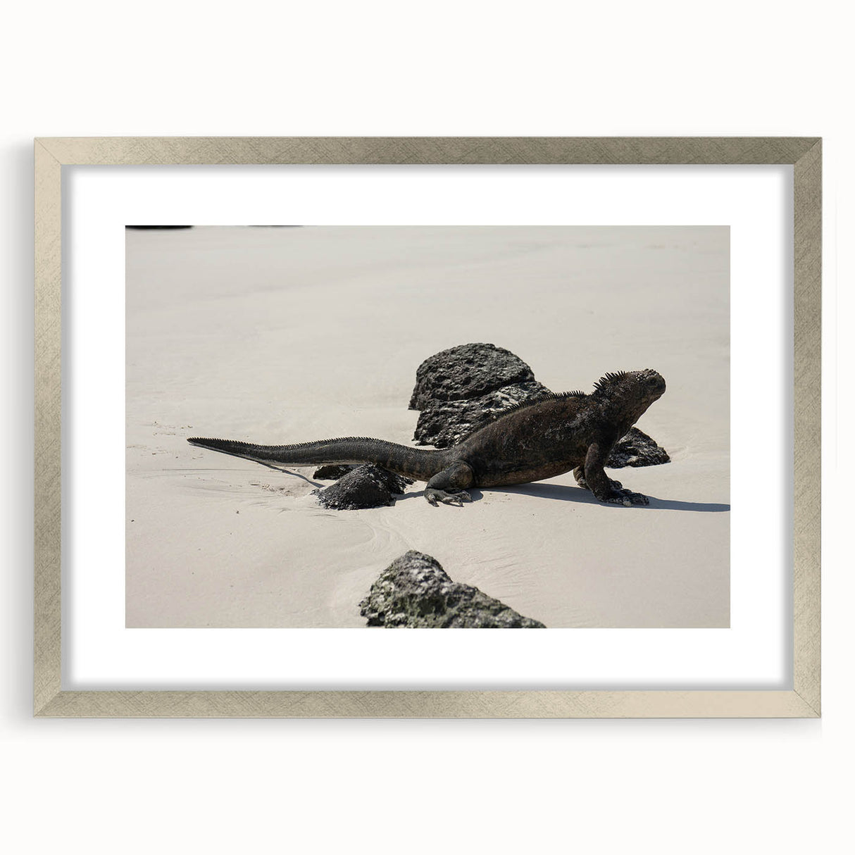 Textured abstract art print of a Galapagos scenery in muted earth tones on a framed silver mat, suitable for bedroom decor.