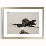 Textured abstract art print of a Galapagos scenery in muted earth tones on a framed silver mat, suitable for bedroom decor.