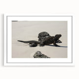 Abstract art print of the Galapagos scenery in muted earth tones on a white-framed canvas, ideal for dining room decor.