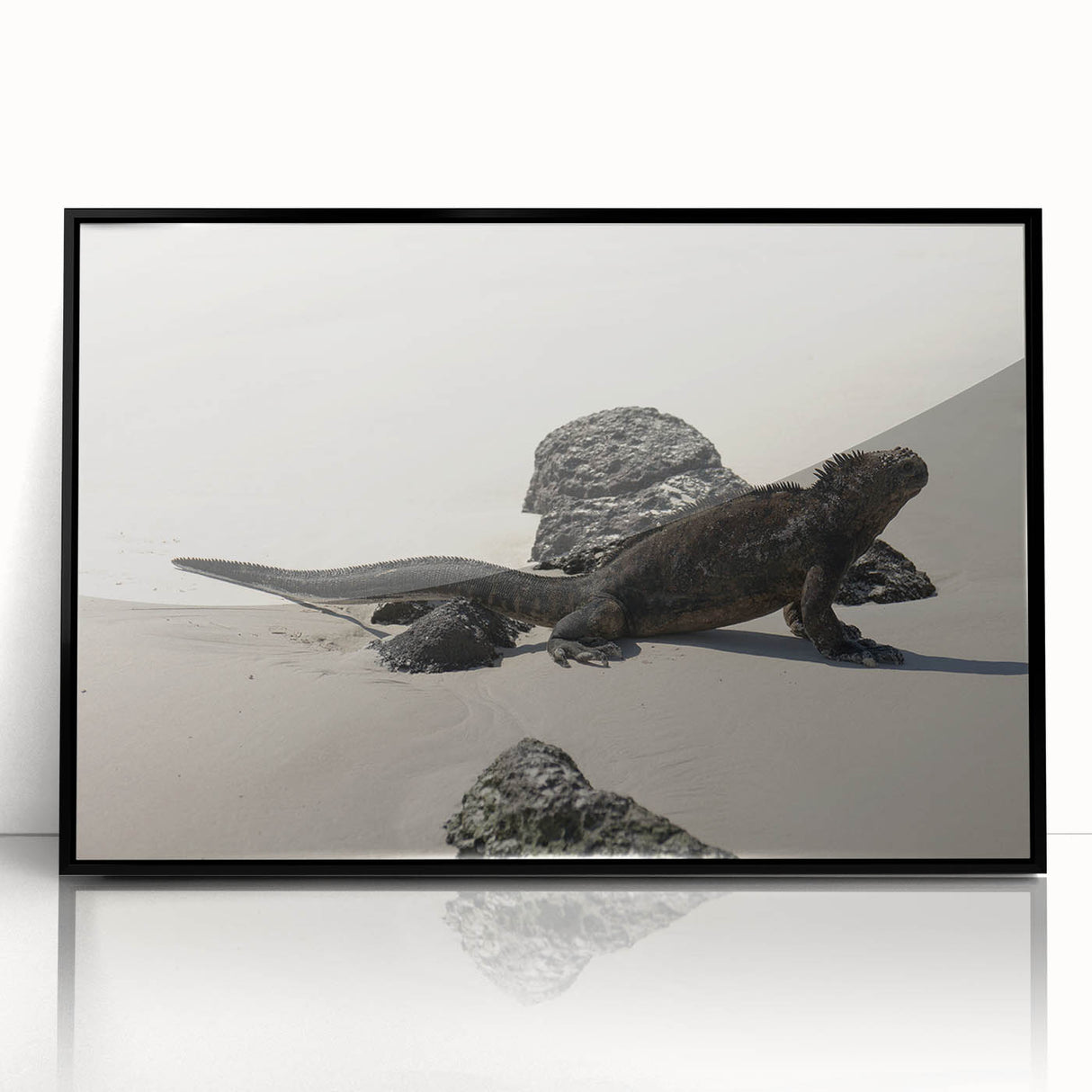 Large abstract wall art depicting Galapagos scenery in vibrant greens and blues, framed in black acrylic.