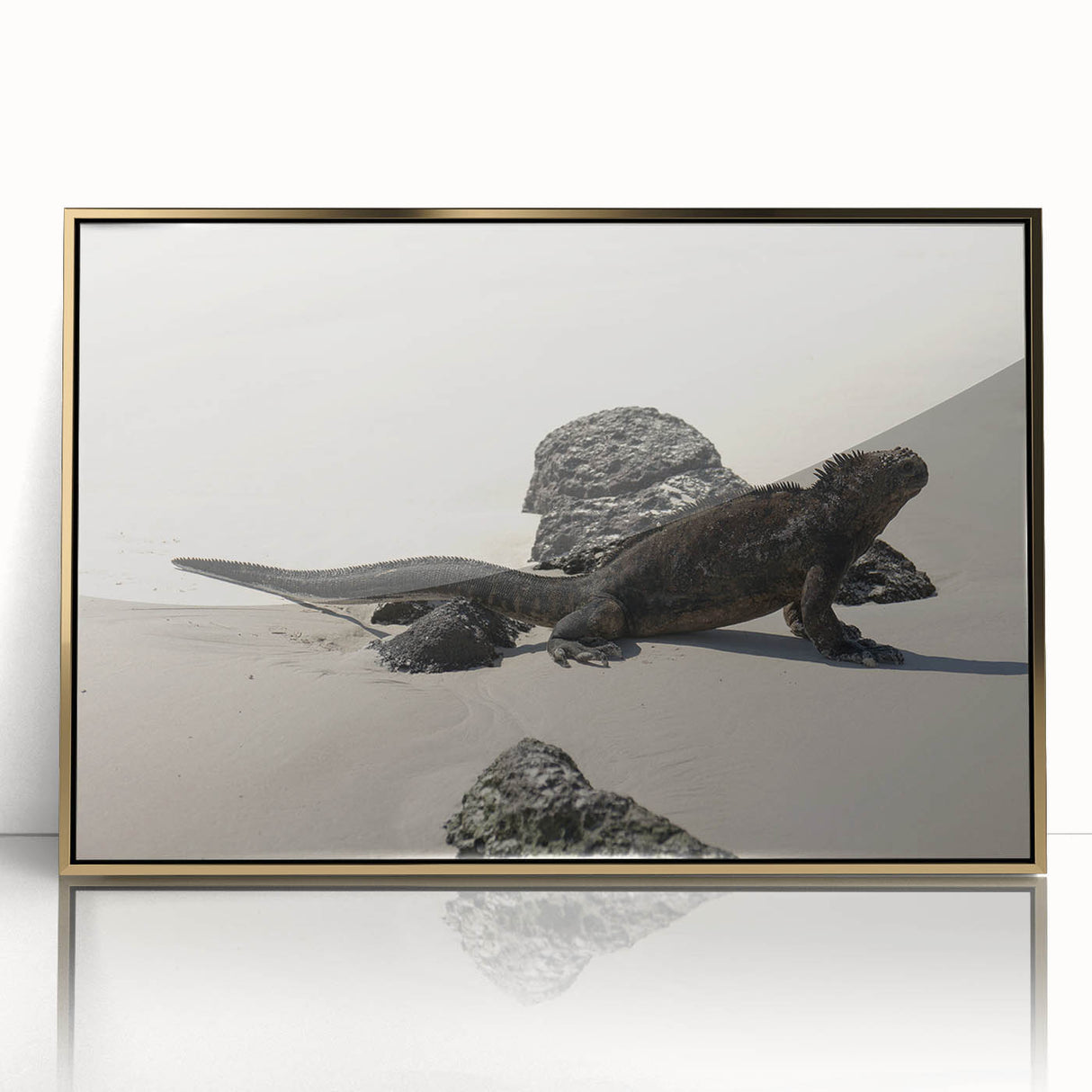 Mid-century modernist style large art print of a Galapagos scenery in gold framed acrylic.