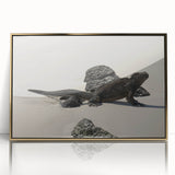 Mid-century modernist style large art print of a Galapagos scenery in gold framed acrylic.