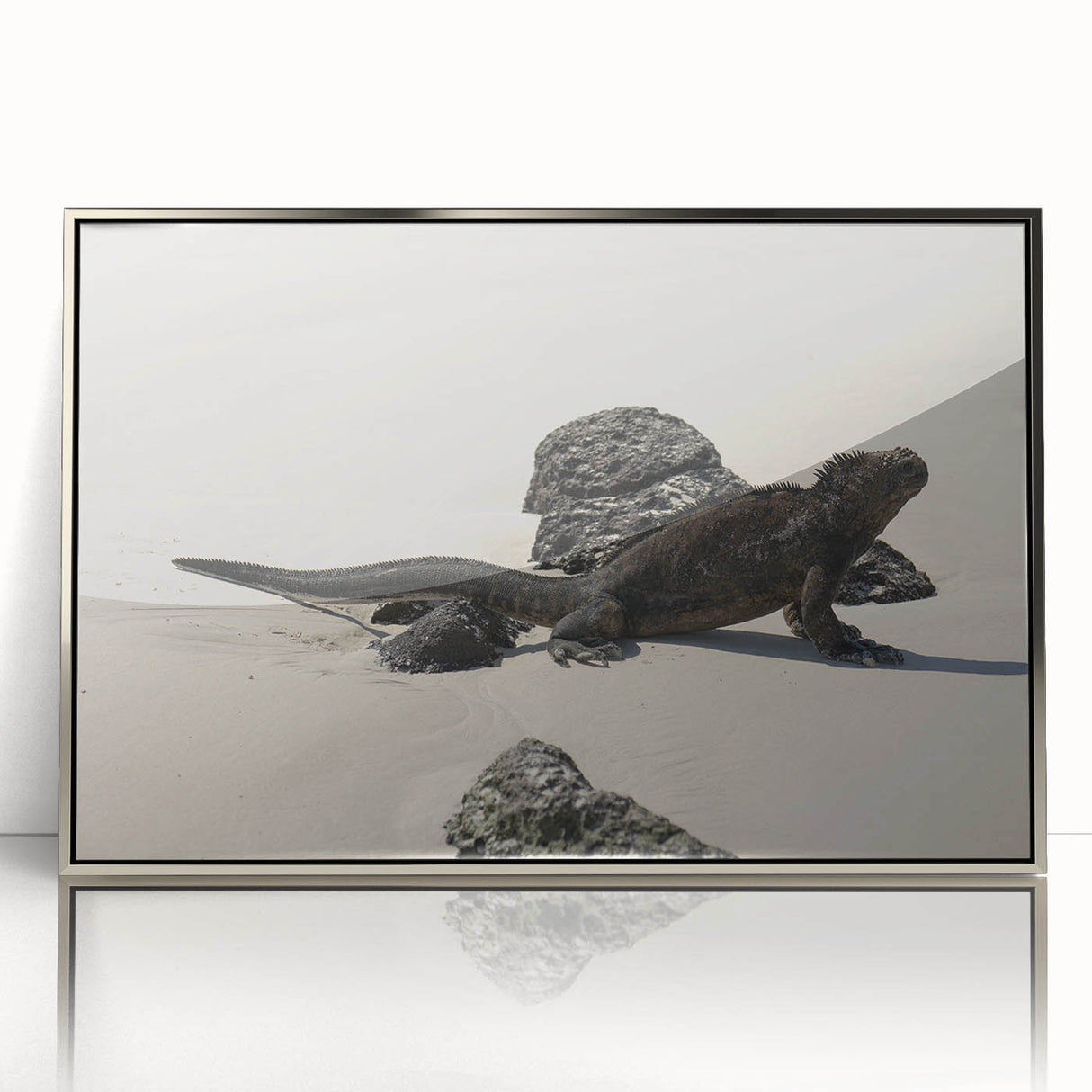 Mid-century modernist art of Galapagos scenery in acrylic, silver-framed, ideal for nursery wall art.
