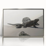 Mid-century modernist art of Galapagos scenery in acrylic, silver-framed, ideal for nursery wall art.