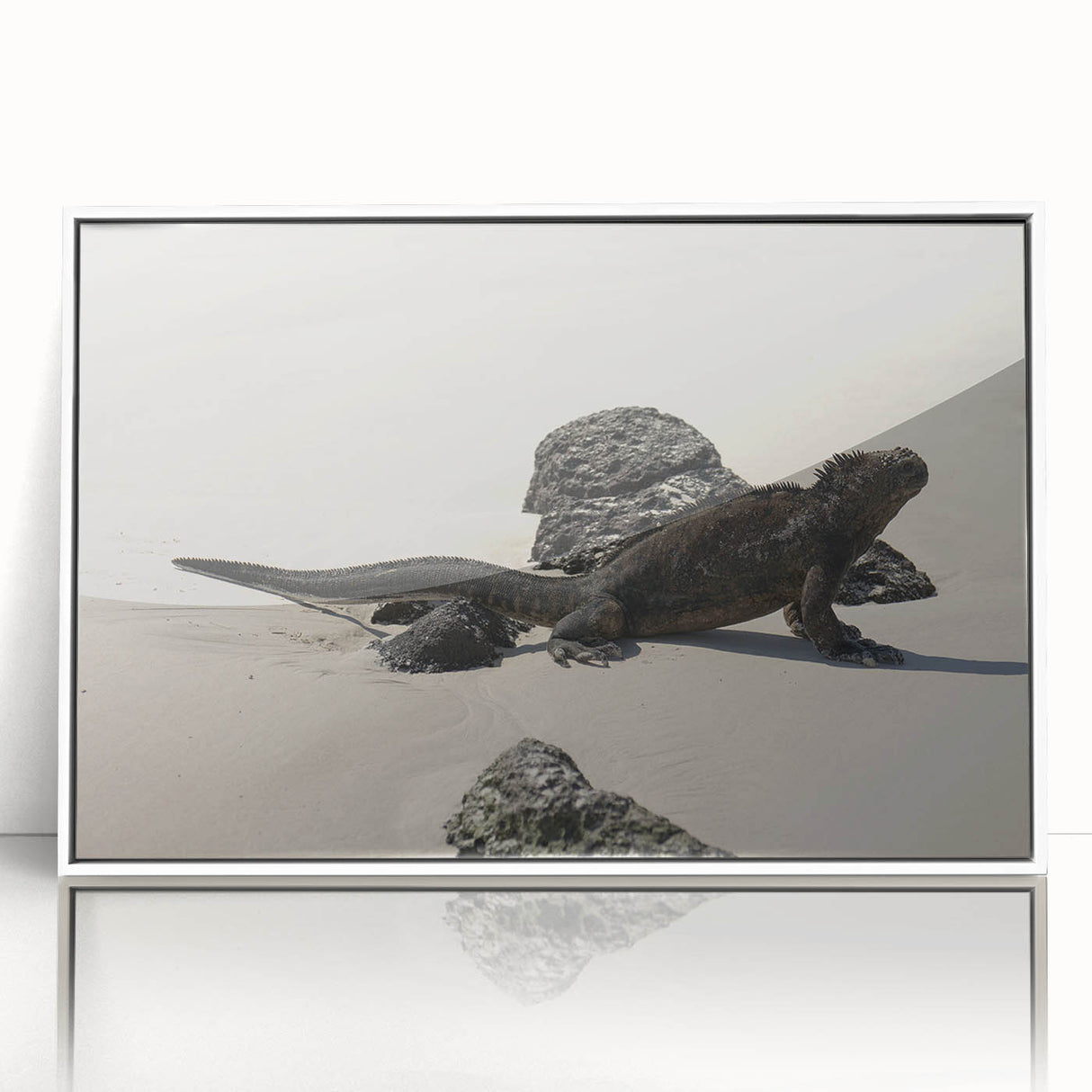 Framed acrylic print of Galapagos scenery with muted earth tones, ideal for modern art wall decor or nursery.