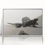 Framed acrylic print of Galapagos scenery with muted earth tones, ideal for modern art wall decor or nursery.