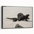 Black and white framed canvas of a Galapagos landscape, ideal for bedroom wall art.