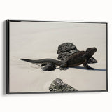 Black and white framed canvas of a Galapagos landscape, ideal for bedroom wall art.