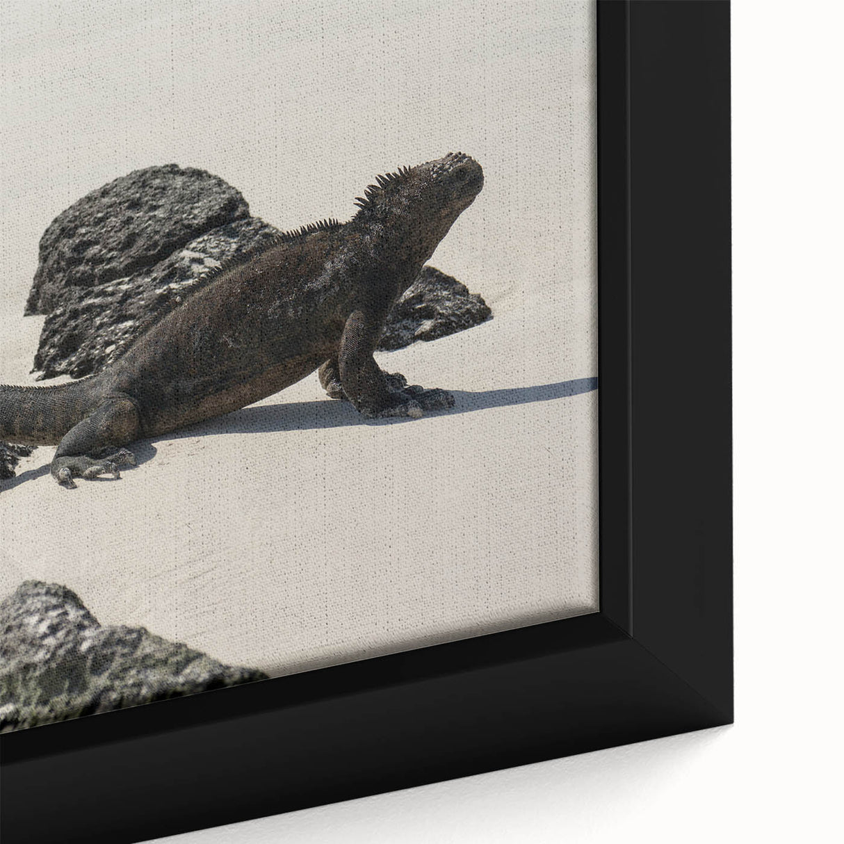 Black wall art featuring a textured, colorful depiction of the Galápagos scenery on a large framed canvas.