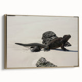 Framed canvas featuring a vintage-style landscape painting of the Galapagos, with a black and gold color scheme.