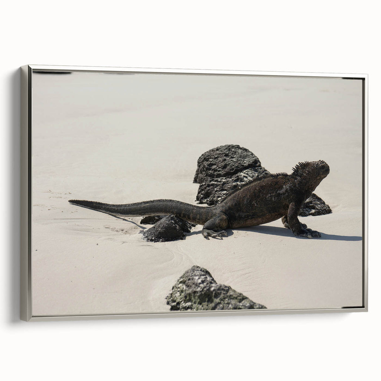 Framed canvas depicting a vintage-style landscape of the Galápagos Islands with vivid colors and black borders.