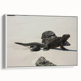 Vintage poster art of Galapagos scenery on framed canvas, featuring vibrant colors on a black background.