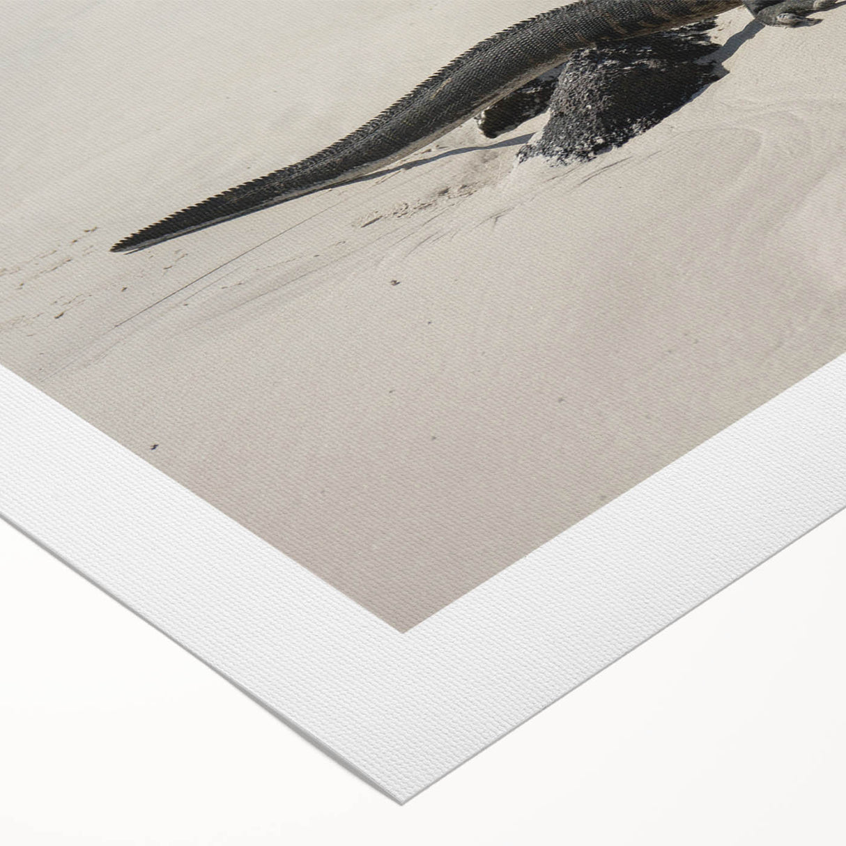Art deco poster of Galapagos scenery on rolled canvas, in muted earth tones, suitable for dining room wall art.