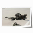 Extra large rolled print featuring a scenic view of the Galapagos with vivid blue and green tones.