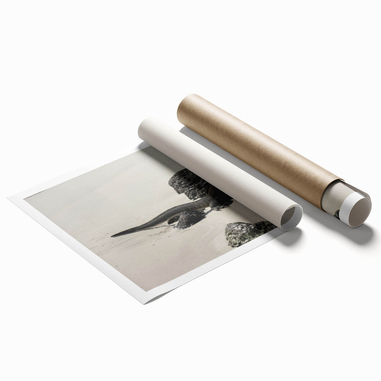 Extra large rolled print featuring a serene Galapagos landscape with lush greenery and vibrant blues.