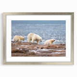 Textured abstract art print of Alaska scenery in muted earth tones, framed in silver, ideal for bedroom art.