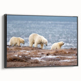 Black and white wall art of an Alaskan landscape on framed canvas, ideal for bedroom decor.