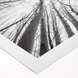 Art deco poster featuring Aspen, Colorado scenery in muted earth tones on rolled canvas, suitable for dining room decor.
