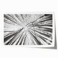 Extra large rolled print of Aspen, Colorado scenery in autumn colors, ideal for art wall dining room.