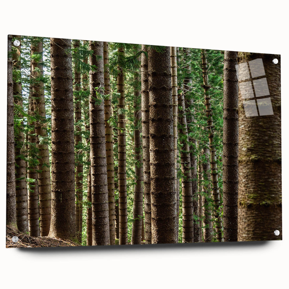 Acrylic print of a large, abstract representation of Kauai's landscape in vibrant green and blue tones.