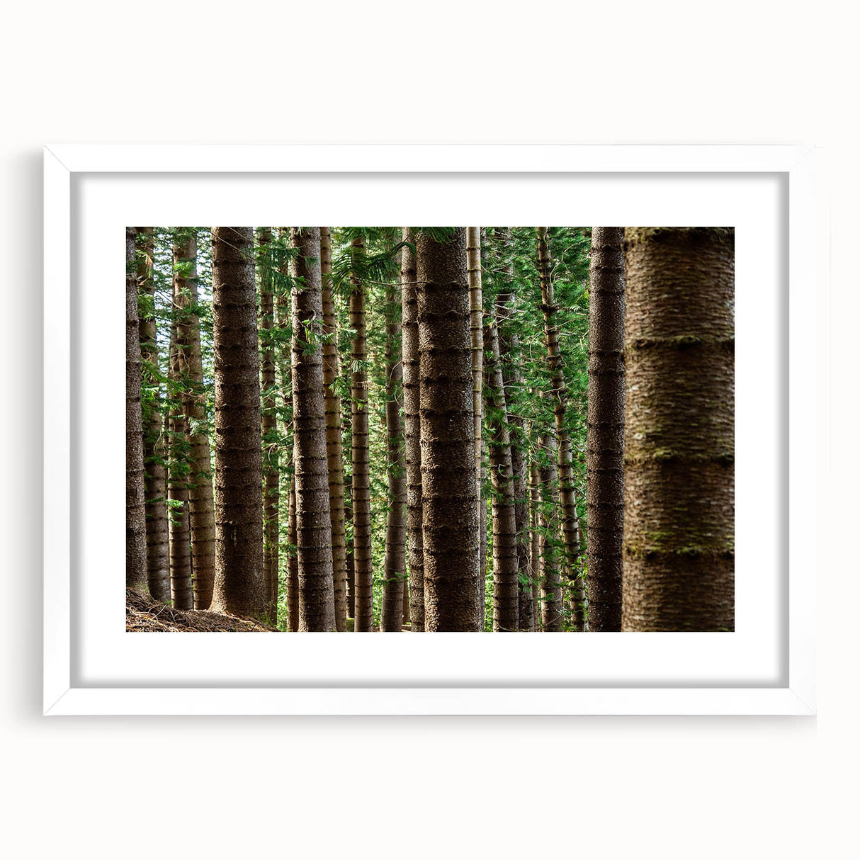 Abstract art print of Kauai, Hawaii, in muted green and blue tones on a framed white mat.