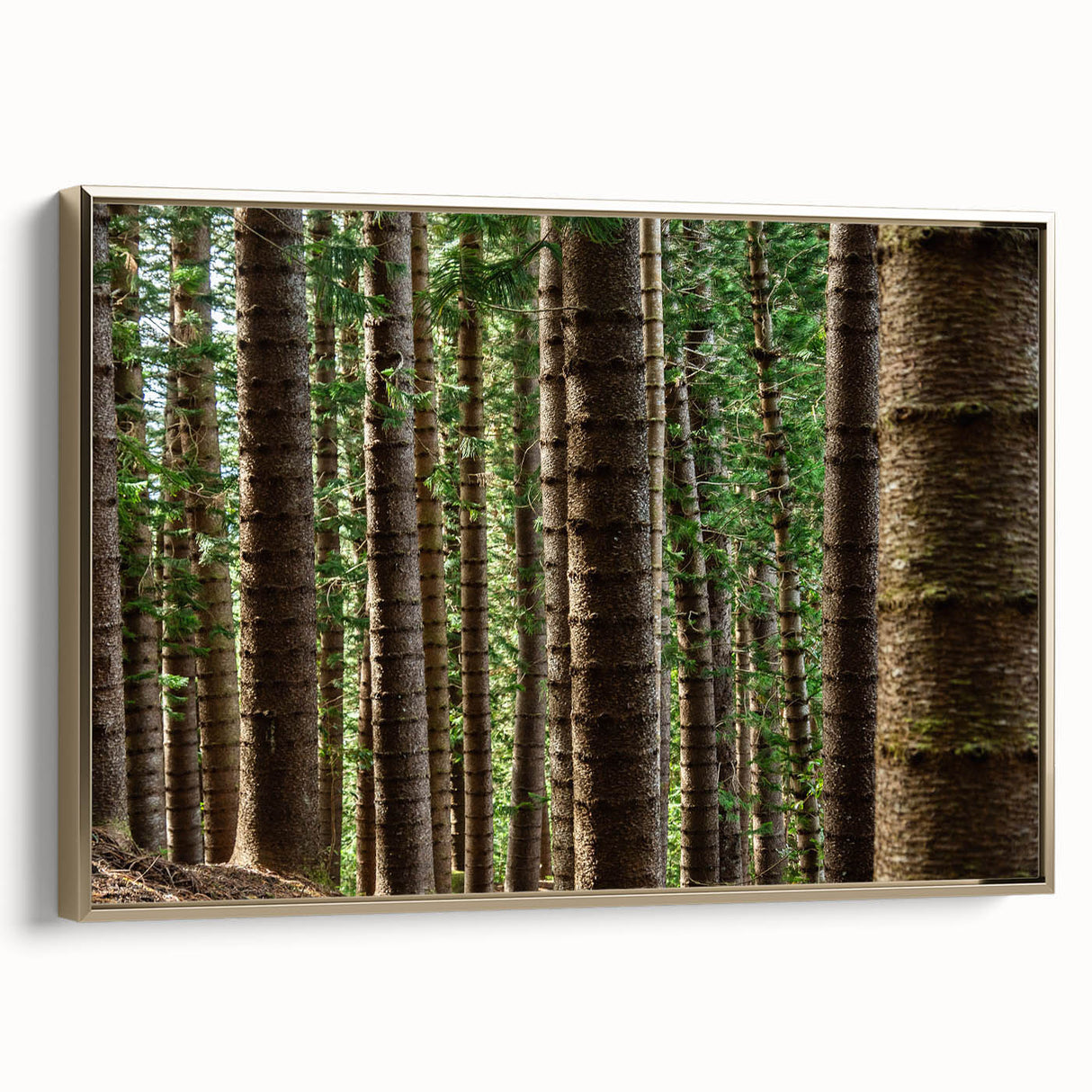 Framed canvas of a vintage-style landscape painting depicting Kauai, Hawaii, with black and gold tones.