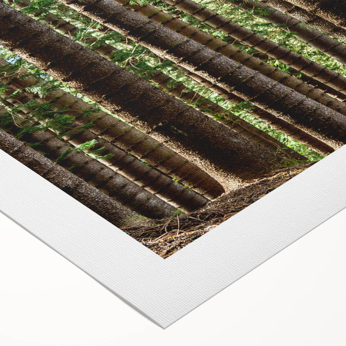 Art deco poster of Kauai landscape, featuring soft pastel shades on rolled canvas, ideal for dining room wall art.